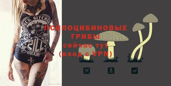 марки lsd Богданович