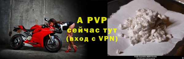 ALPHA PVP Богородицк