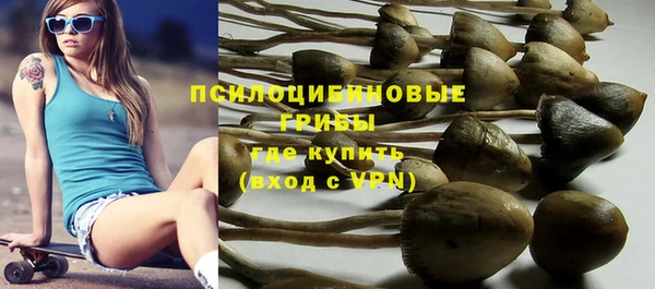 синтетический гашиш Богородск