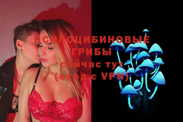 синтетический гашиш Богородск