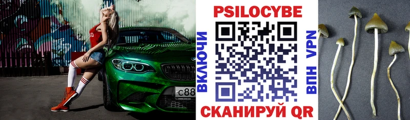 Галлюциногенные грибы прущие грибы  Купить где  Устюжна 
